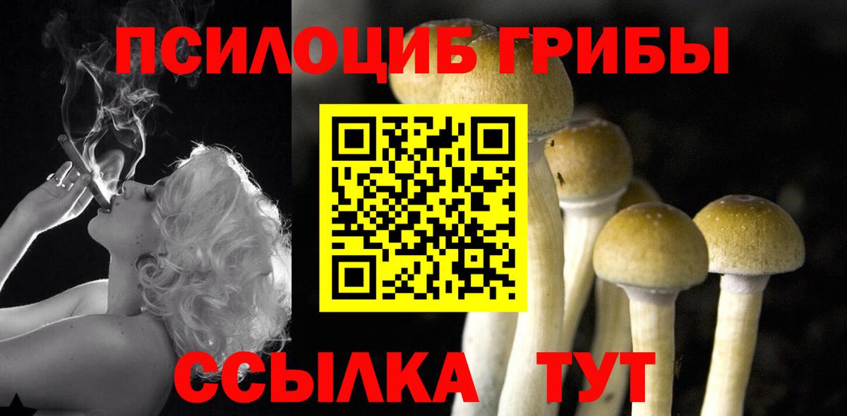 Галлюциногенные грибы Cubensis Ноябрьск