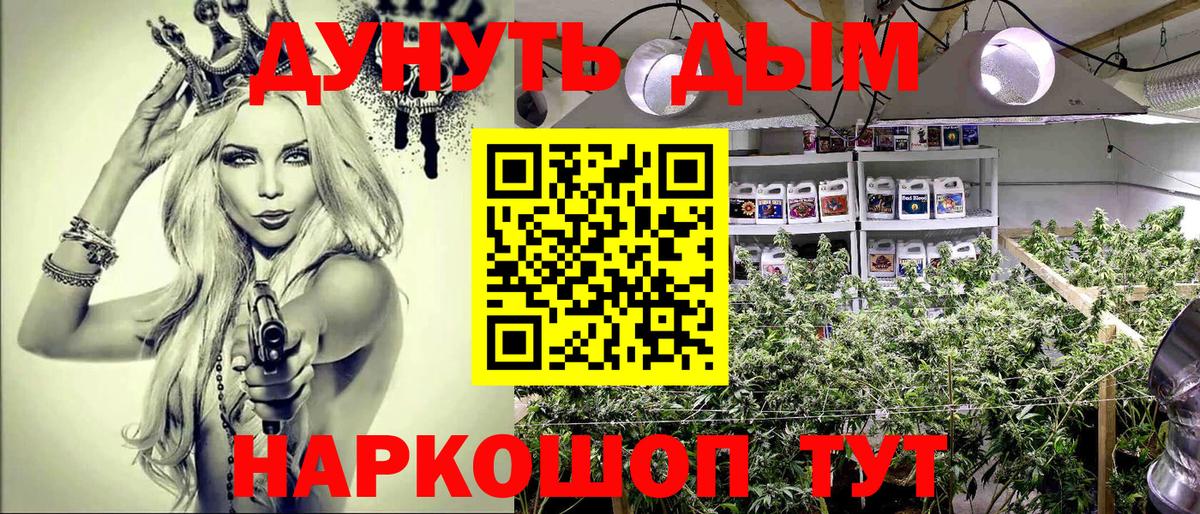 Марихуана гибрид  Вход с VPN  Ноябрьск  Бошки марихуана гибрид  Конопля OG Kush 